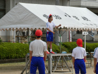P1050942