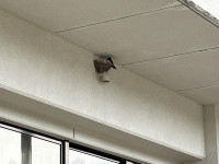 IMG_3274