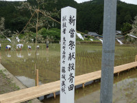 P1060133