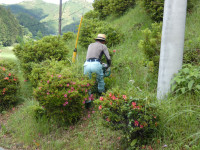 P1060145