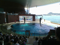 IMG_20260917_130118