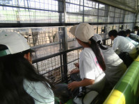 IMG_20260917_154322