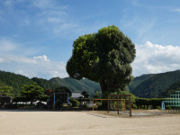 P1010143