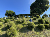 IMG_3669