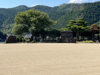 IMG_3671