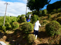 P1060983